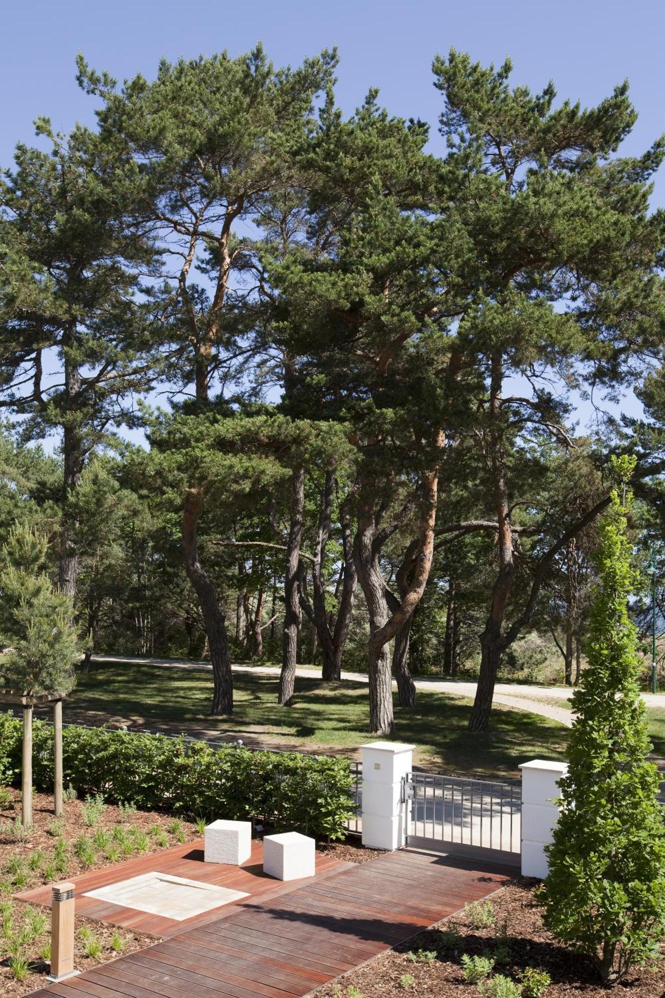Steigenberger Grandhotel & Spa Heringsdorf Eksteriør bilde Pines in the park